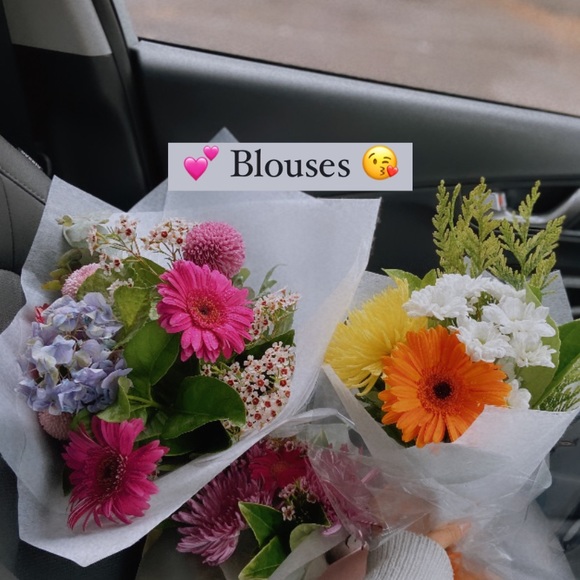 Meet your Posher, Isabel - Picture 2 of 15